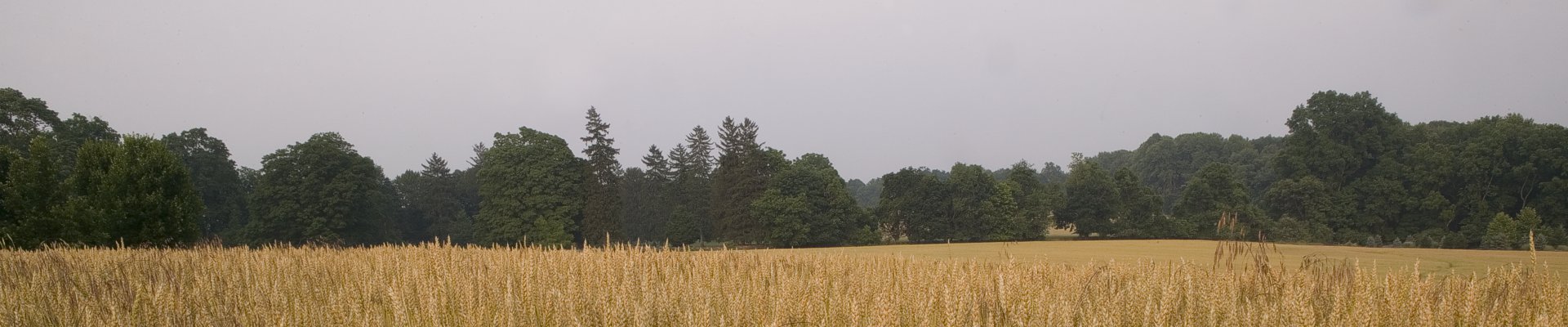 Solebury Township