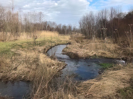 Creek in Solebury Township